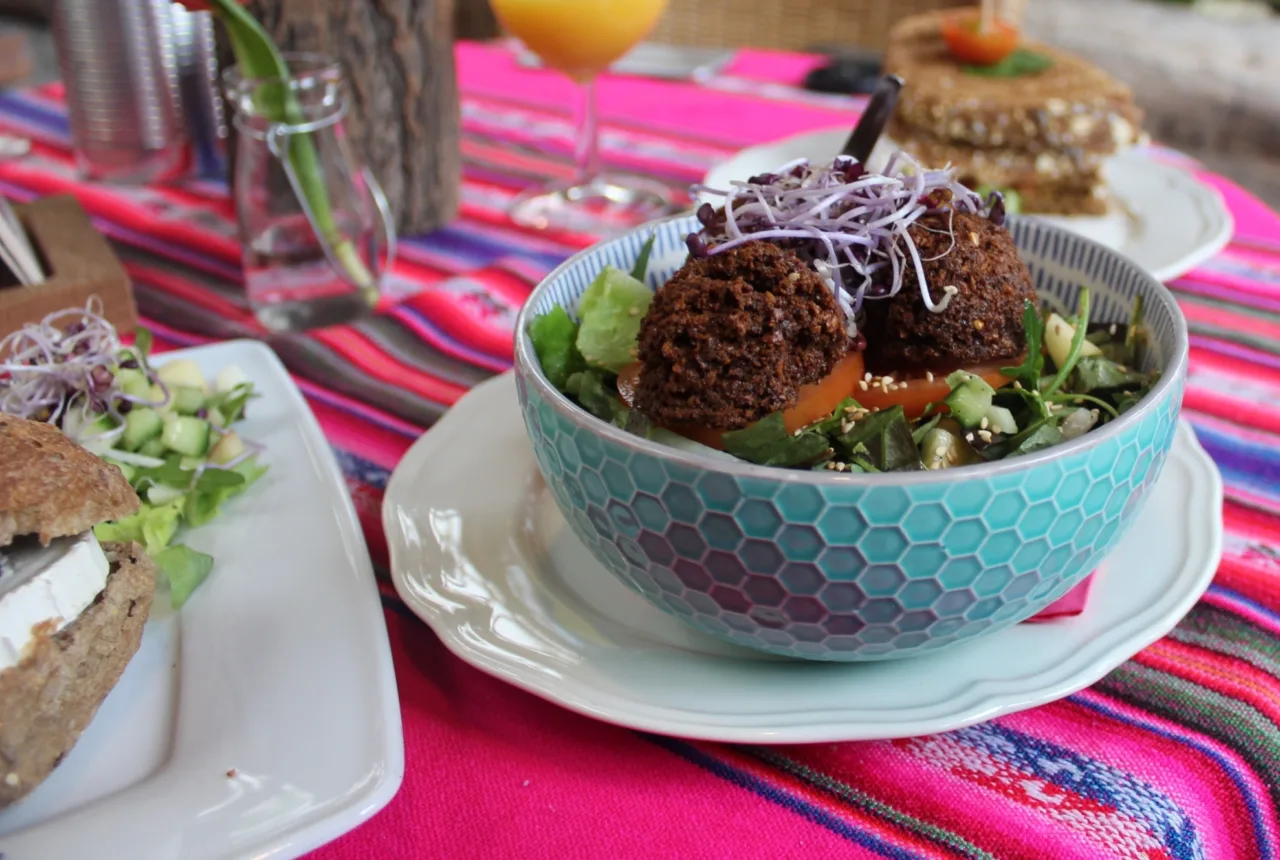 Het Paradijs vegetarisch vegan restaurant eten drinken Enschede - Uit in Enschede