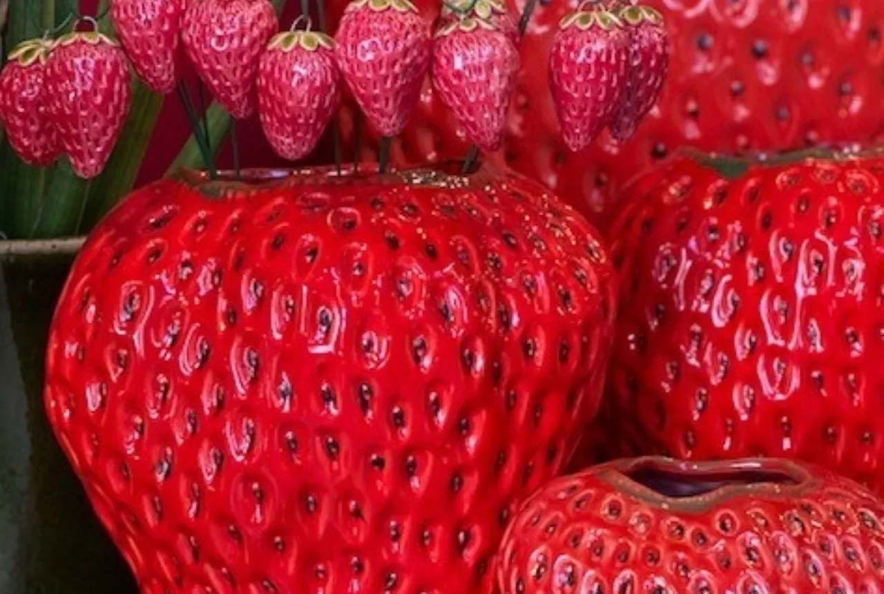 Country Life aardbeien boeket met pot - Uit in Enschede