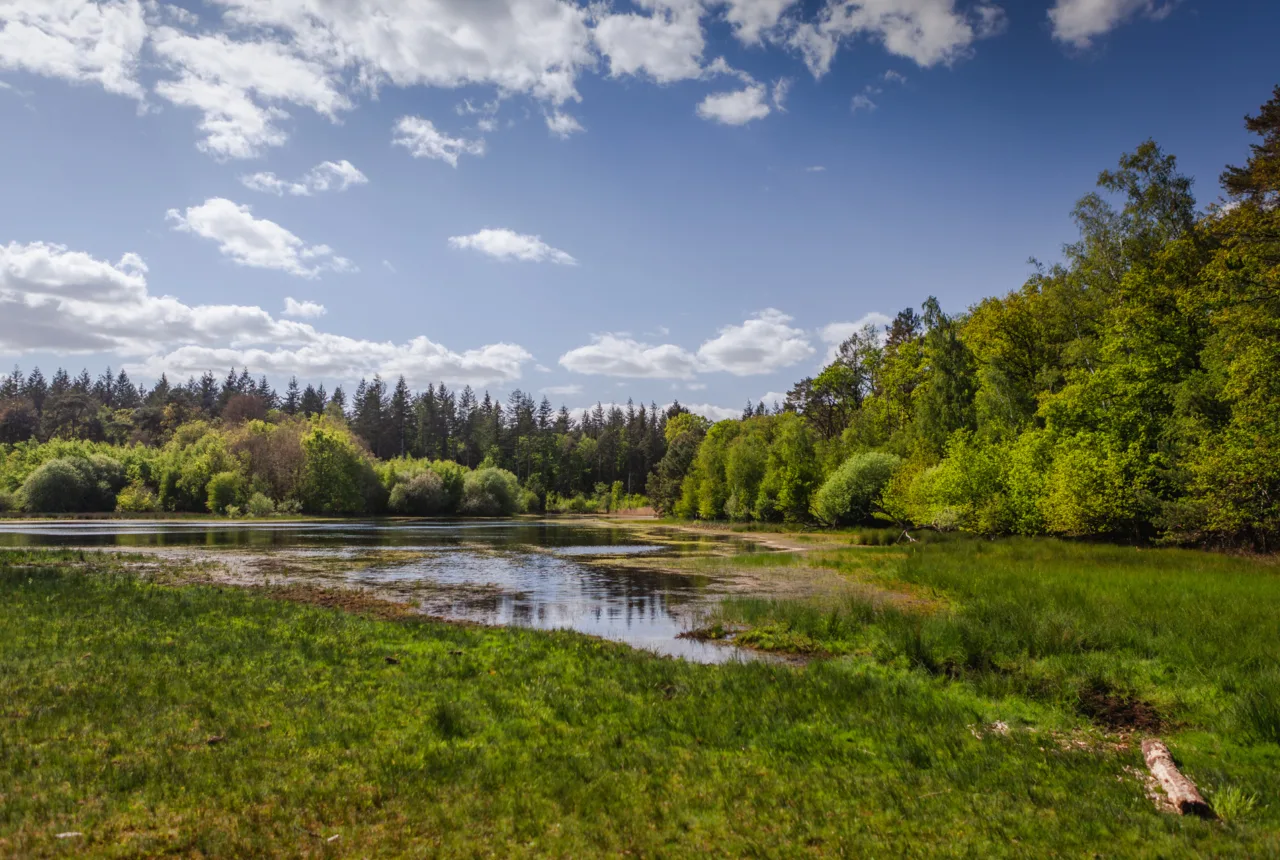 De Wildernis Lente Enschede - Hof Espelo - Uit in Enschede