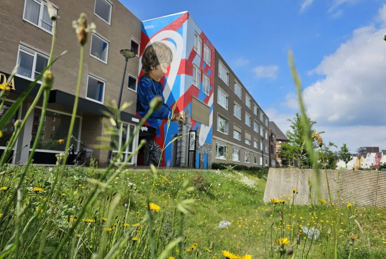 Street art Eschpoort Enschede - Uit in Enschede
