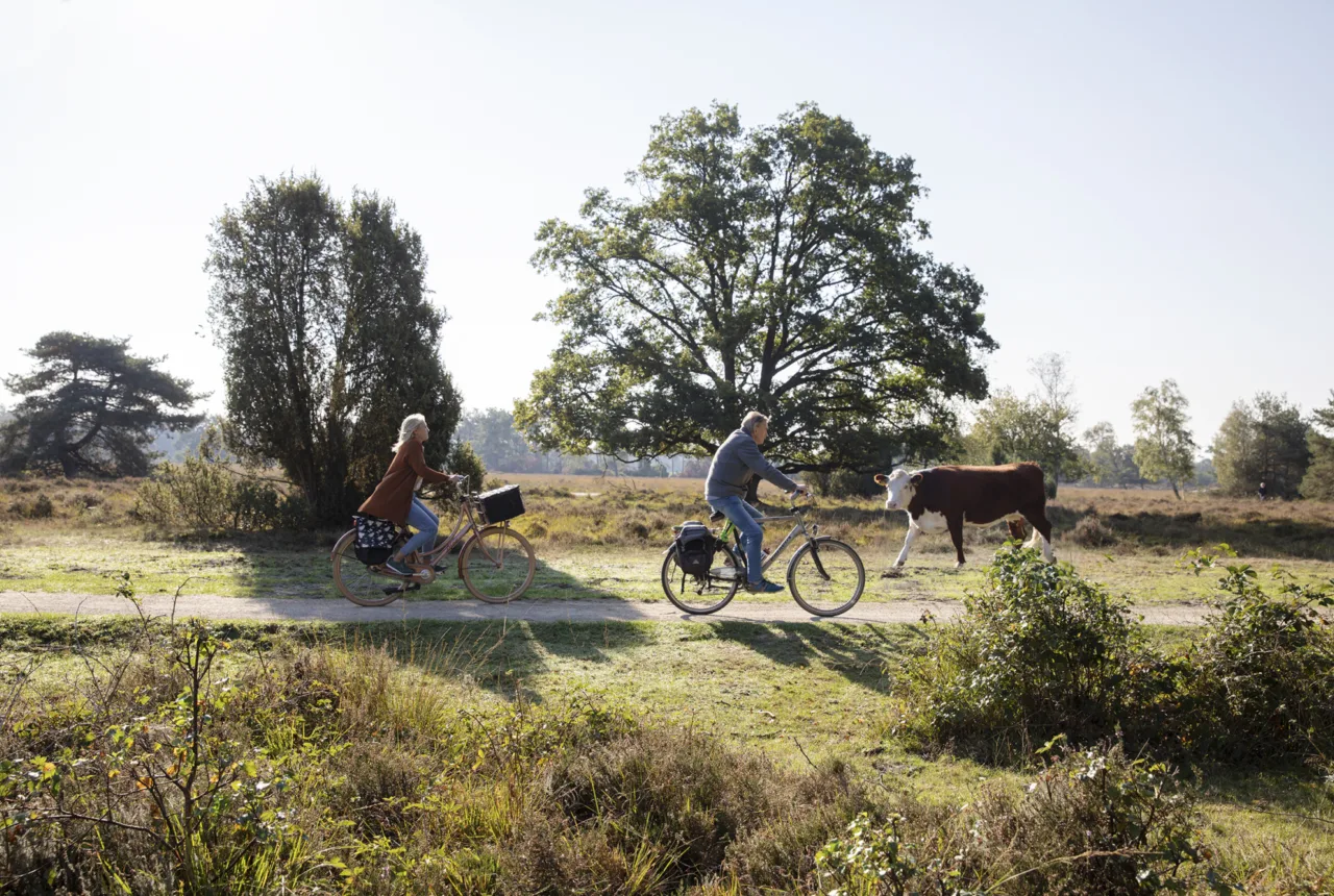 Auf dem Fahrrad im Buurserzand in Enschede - Uit in Enschede