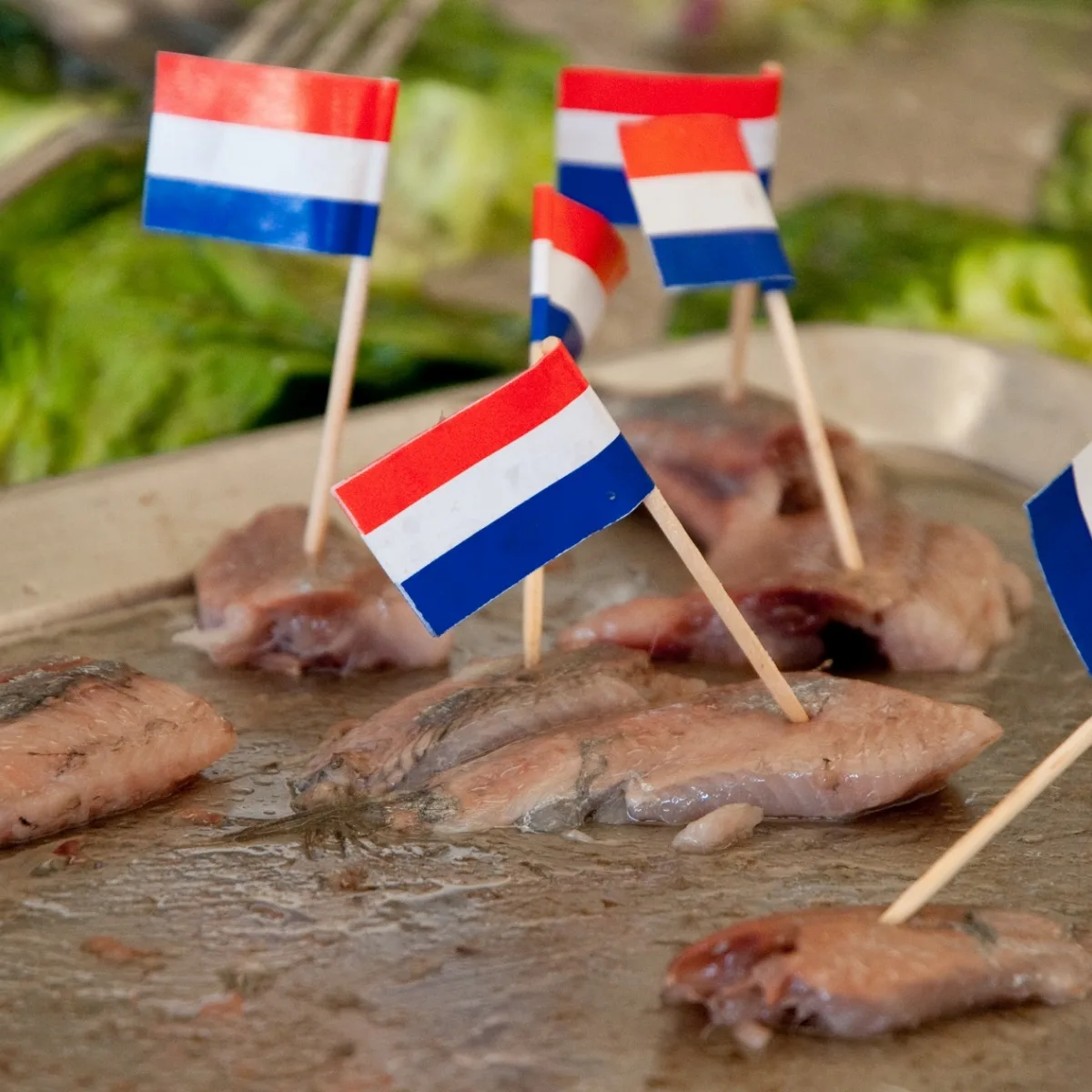 Fisch mit Niederlandeflagge vom Wochenmarkt in Enschede - Uit in Enschede