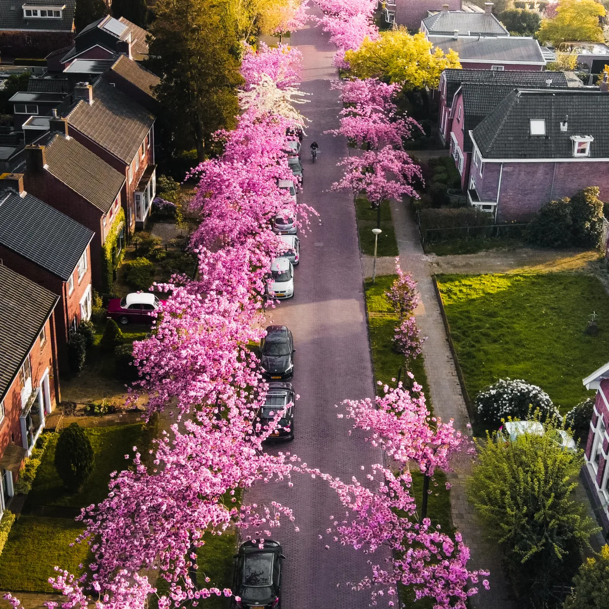  - Uit in Enschede