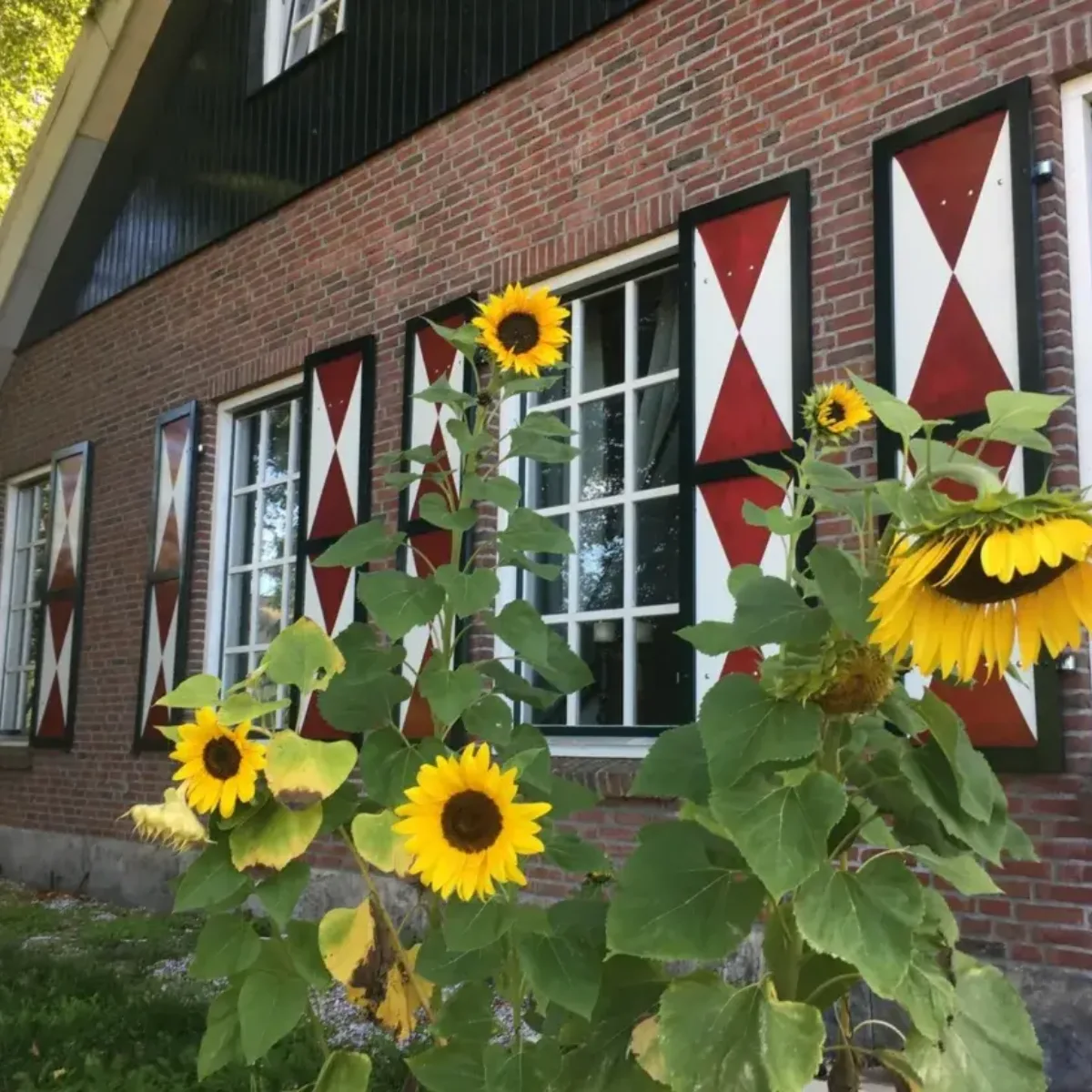 Overnachten bij B&B Erve het Roolvink in Lonneker nabij Enschede - Uit in Enschede