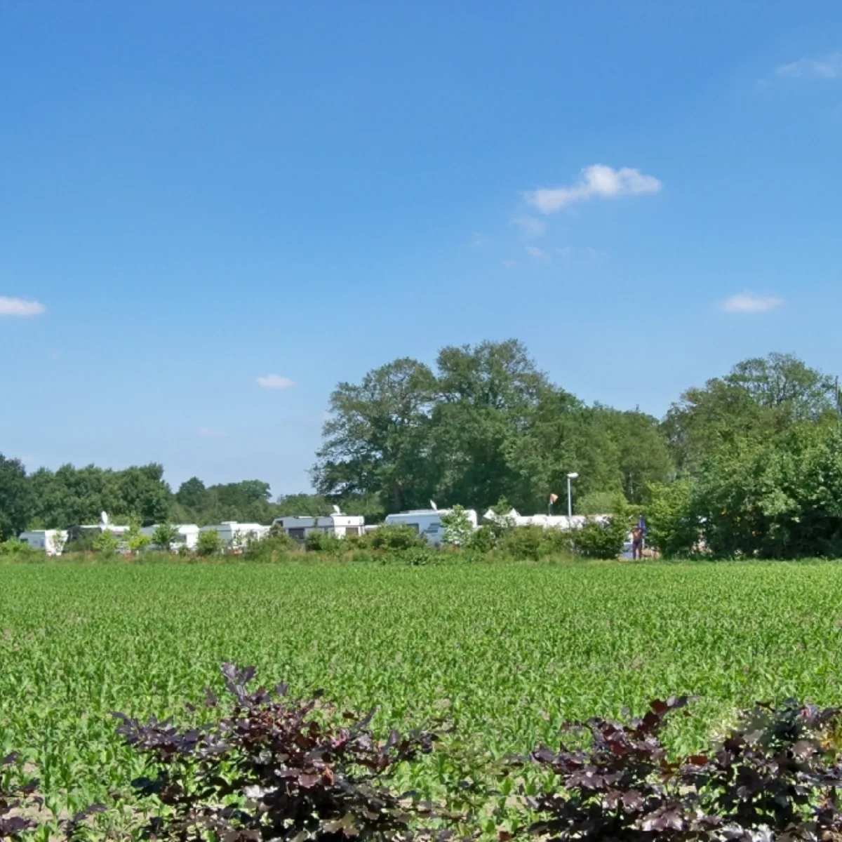 Natur beim Mini-Camping Bekn Schop in Enschede - Uit in Enschede