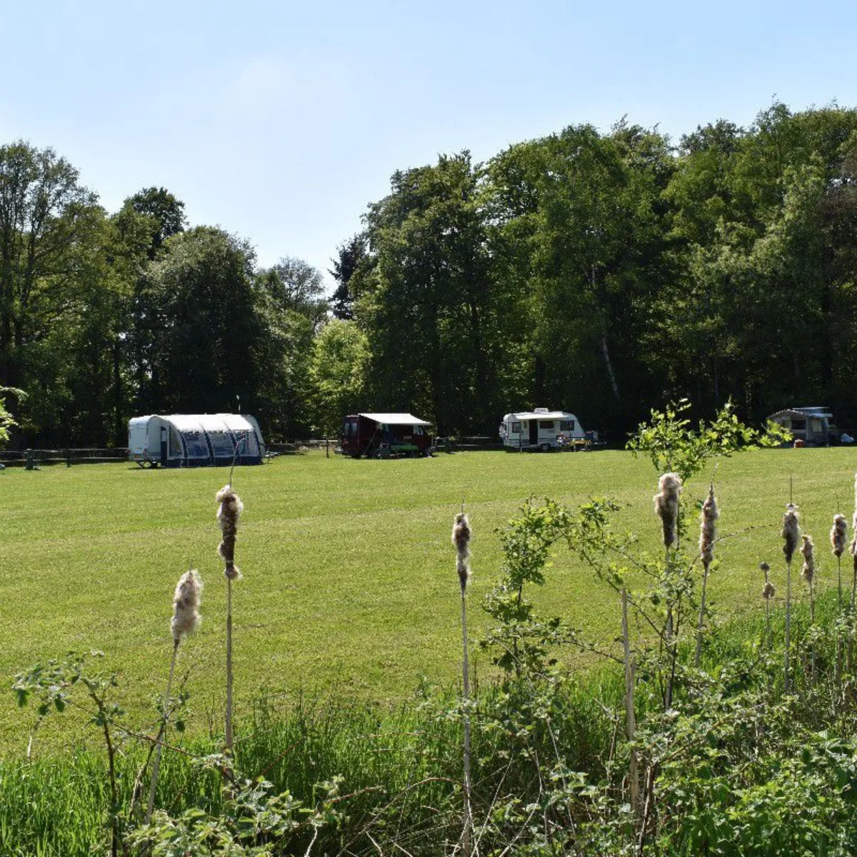 Landschapscamping 't Scharrelhoes Boekelo Enschede - Uit in Enschede