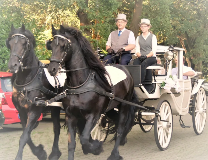 Kutsche mit zwei schwarzen Pferden und Kutscher von der Stalhouderij Schouwink in Enschede - Uit in Enschede
