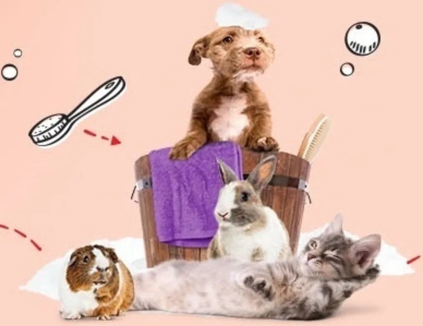 Pets Place Enschede - Uit in Enschede