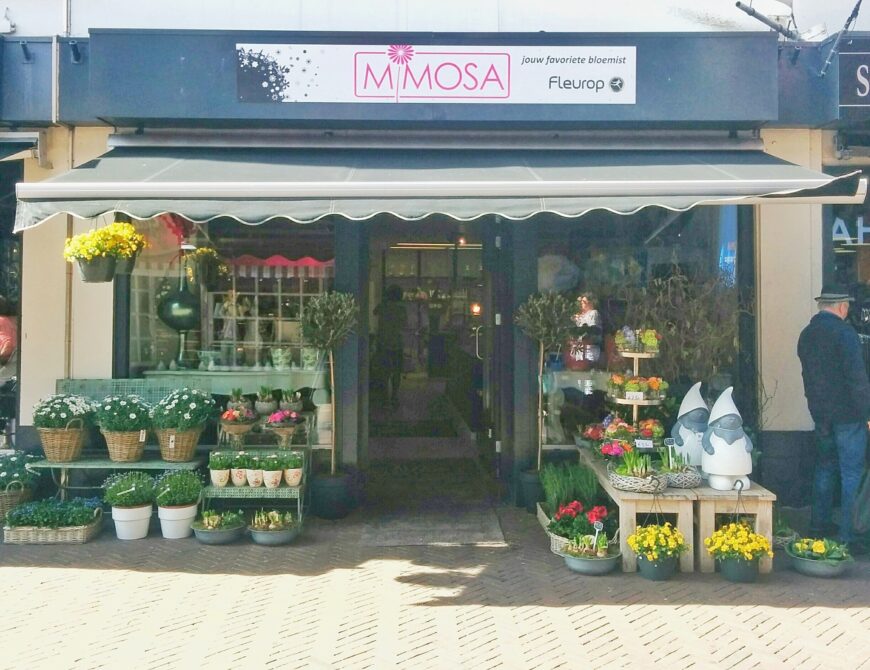 Mimosa in der Korte Hengelosestraat in Enschede - Uit in Enschede