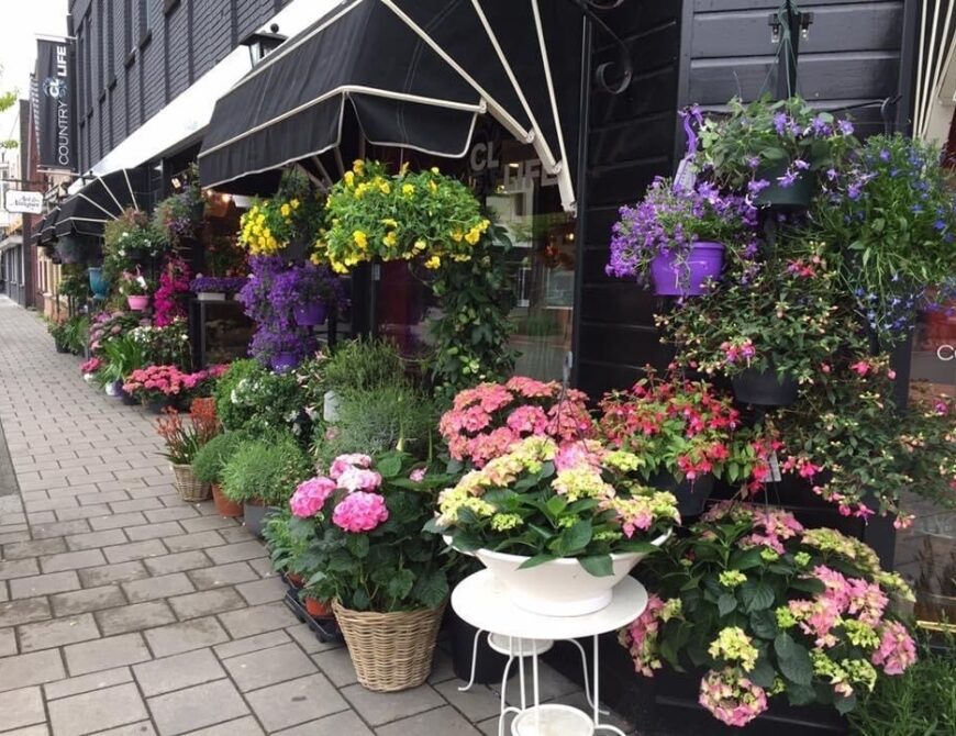 Country Life in Enschede - Uit in Enschede