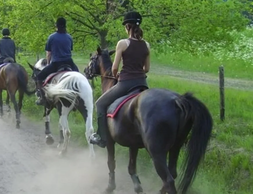 Manege de Horstlinde Enschede - Uit in Enschede
