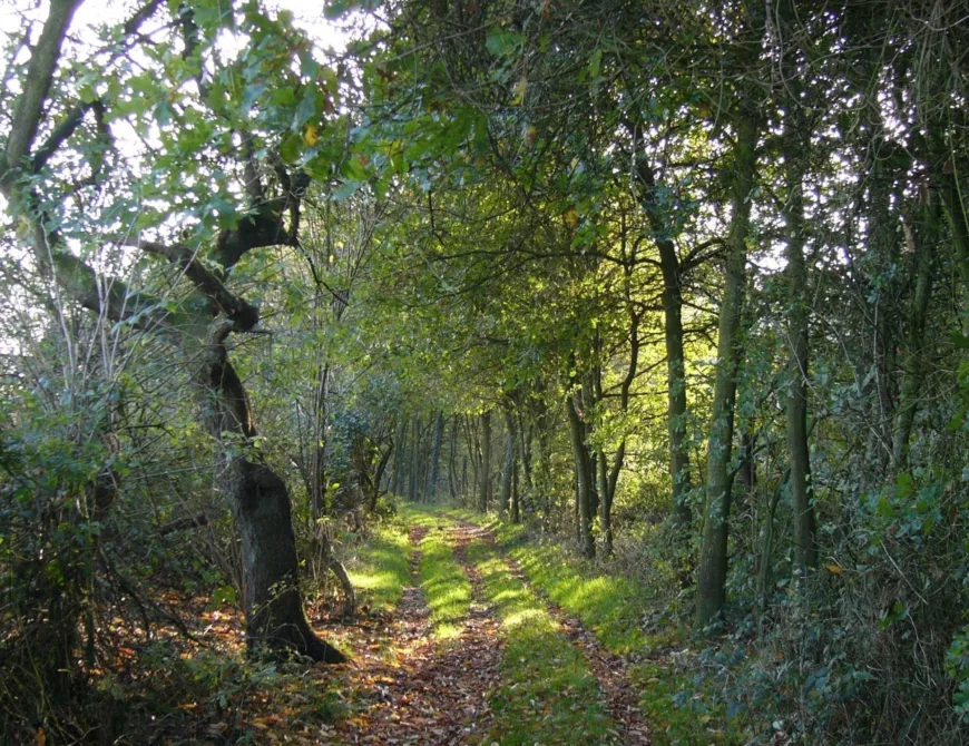 Twekkelerpad wandelen route Enschede - Uit in Enschede
