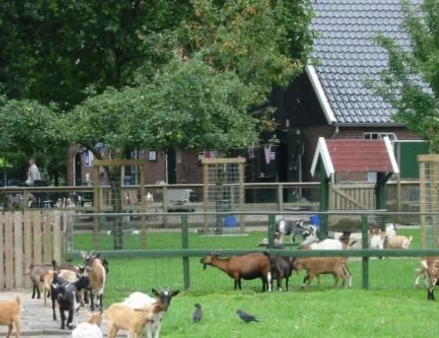 Kinderboerderij Noord Enschede - Uit in Enschede