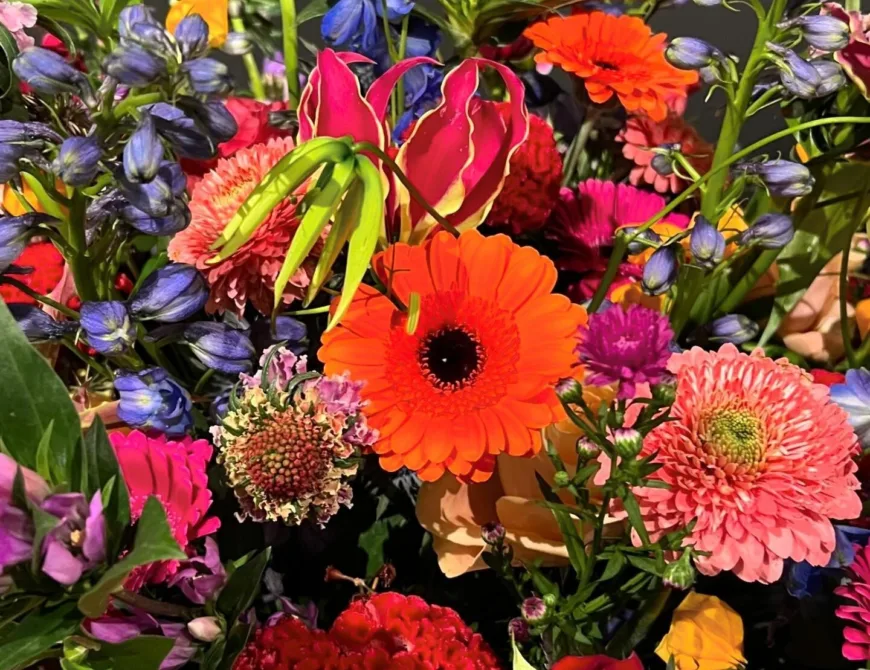 TOM bloemen & wonen Enschede - Uit in Enschede